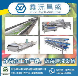 果蔬清洗設備生產廠家 浙江果蔬清洗設備 鑫沅昌盛專業(yè)食品機械