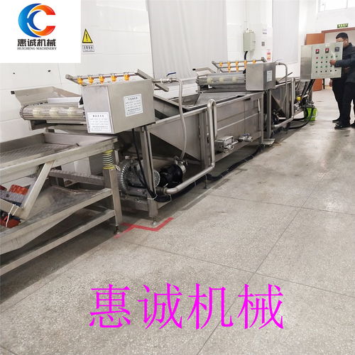 【廠家供應(yīng)氣泡清洗流水線氣泡清洗機果蔬清洗機等清洗設(shè)備】- 