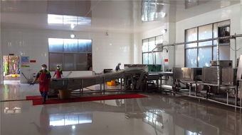 霖森洗碗機 圖 清洗餐具設(shè)備廠家直銷 貴州清洗餐具設(shè)備高清圖片 高清大圖